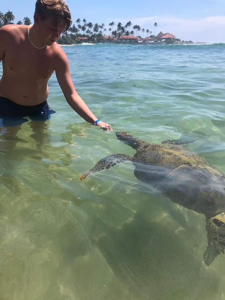 מלון דיקוולה Jk House Turtle Point מראה חיצוני תמונה